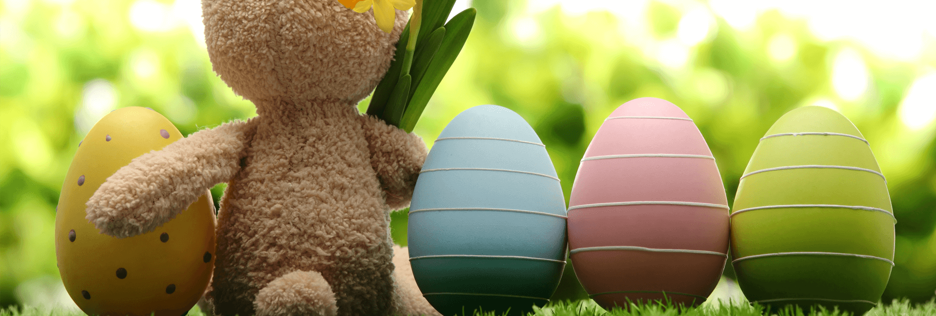 Gekleurde eieren op een rij met een speelgoed konijn ertussen - Paasbrunch arrangement - Gasterij 't Karrewiel